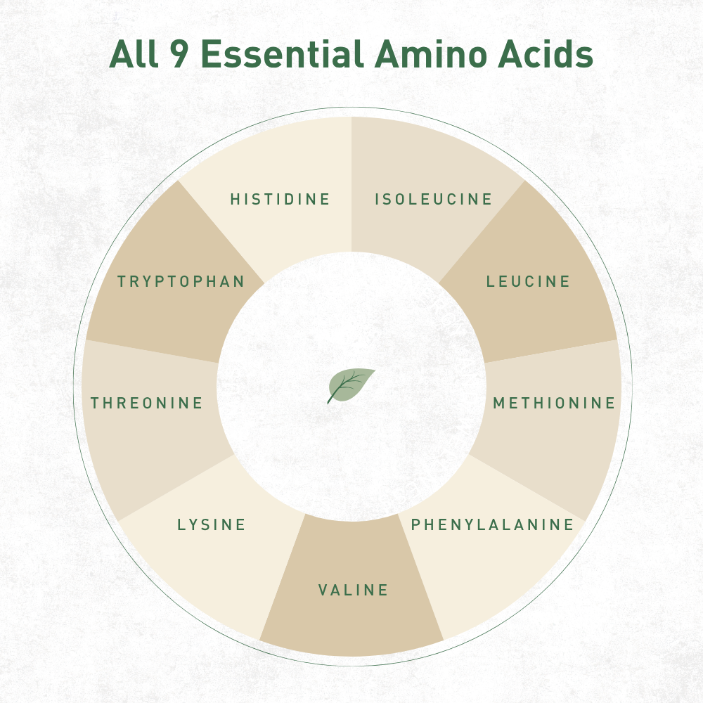 Organic Unflavored Hemp Protein